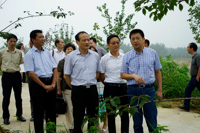 现场踏勘省园博会选址地块汇报座谈会会场王翔巡视员讲话扬州市闻道才