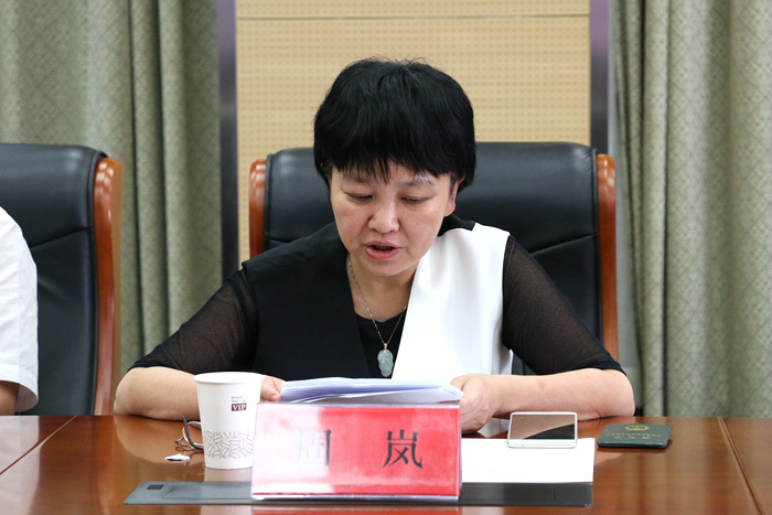 周岚厅长讲话姚恒斌副主任讲话宋如亚副厅长作阶段性工作总结和专题